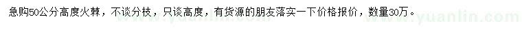 求購高50公分火棘