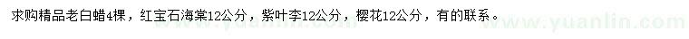 求購老白蠟、紅寶石海棠、紫葉李等