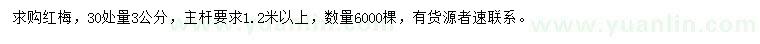 求購30量3公分紅梅
