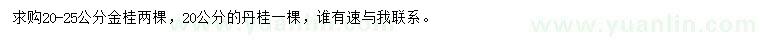 求購20-25公分金桂、20公分丹桂