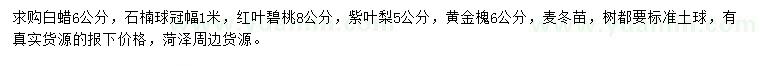 求購白蠟、石楠球、紅葉碧桃等