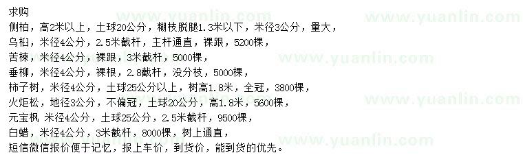 求購(gòu)側(cè)柏、烏桕、苦楝等