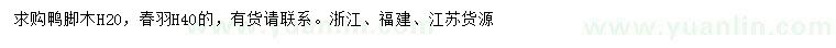 求購(gòu)高20公分鴨腳木、高40公分春羽