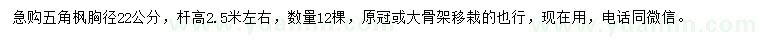 求購(gòu)胸徑22公分五角楓