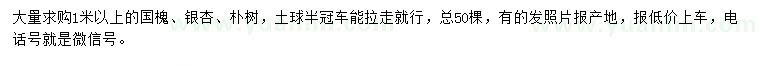 求購(gòu)國(guó)槐、銀杏、樸樹(shù)