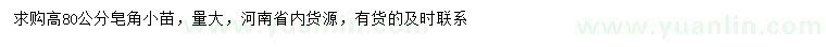 求購(gòu)高80公分皂角小苗