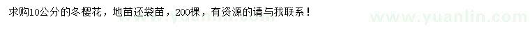 求購10公分冬櫻花