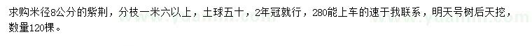 求購(gòu)米徑8公分紫荊