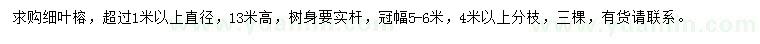 求購直徑1米以上細葉榕