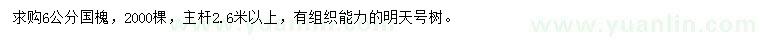 求購6公分國槐