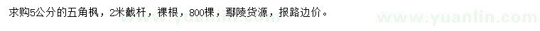 求購5公分五角楓