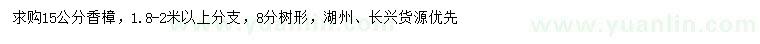求購15公分香樟