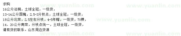 求購法桐、國槐、北欒等