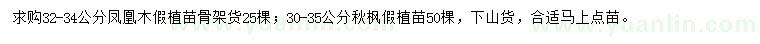 求購32-34公分鳳凰木、30-35公分秋楓