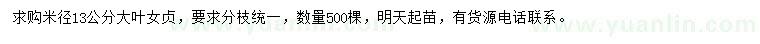 求購米徑13公分大葉女貞