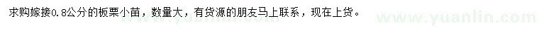 求購0.8公分嫁接板栗小苗