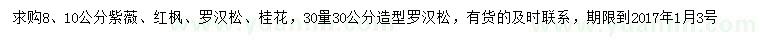 求購紫薇、紅楓、羅漢松等