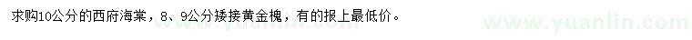 求購10公分西府海棠、8、9公分矮接黃金槐