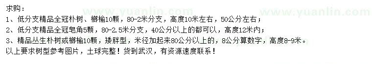 求購樸樹、榔榆、皂角等