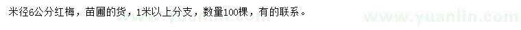 求購米徑6公分紅梅