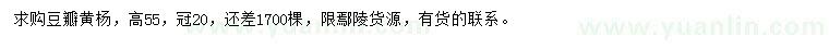 求購高55公分豆瓣黃楊