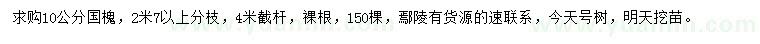 求購10公分國槐