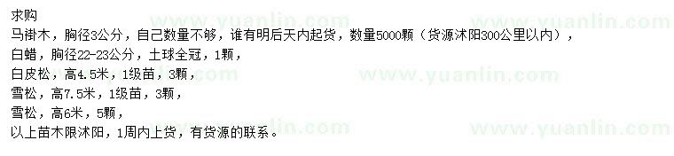 求購馬褂木、白蠟、白皮松等