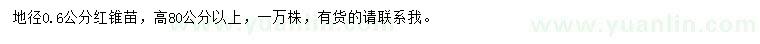 求購地徑0.6公分紅錐苗