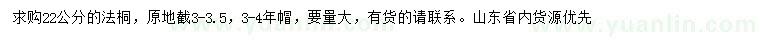 求購22公分法桐