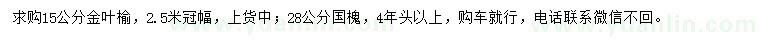 求購15公分金葉榆、28公分國槐