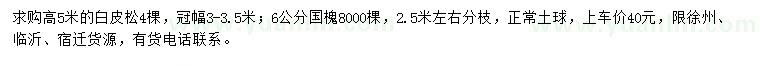 求購高5米白皮松、6公分國槐