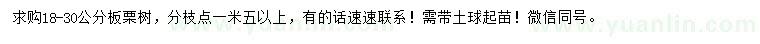 求購(gòu)18-30公分板栗樹(shù)