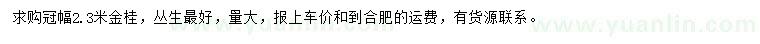 求購冠幅2.3米金桂