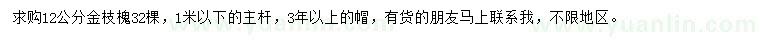 求購12公分金枝槐