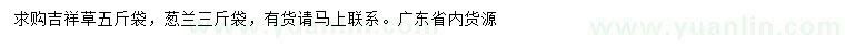 求購吉祥草、蔥蘭