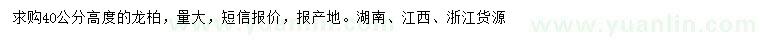 求購高40公分龍柏小苗