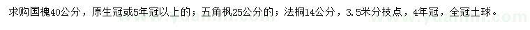 求購國槐、五角楓、法桐