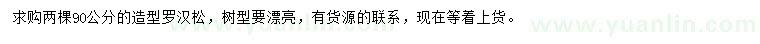 求購90公分造型羅漢松