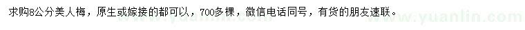 求購8公分美人梅