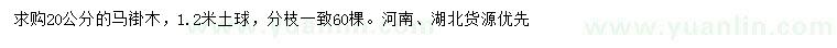 求購(gòu)20公分馬褂木