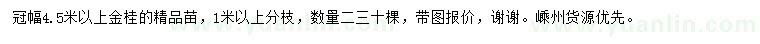 求購冠幅4.5米以上金桂