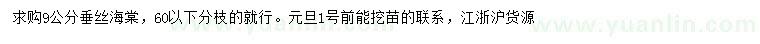 求購9公分垂絲海棠