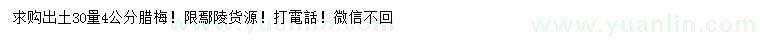 求購出土30量4公分臘梅