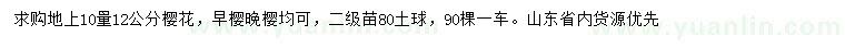 求購10量12公分櫻花