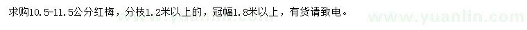 求購10.5-11.5公分紅梅