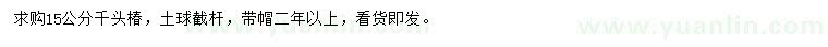 求購15公分千頭椿