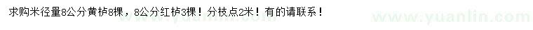 求購(gòu)米徑量8公分黃櫨、紅櫨