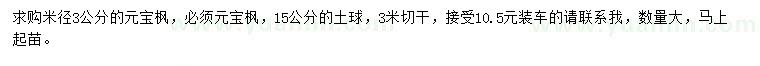 求購米徑3公分元寶楓