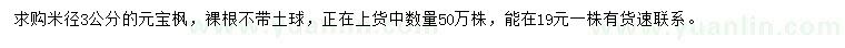 求購米徑3公分元寶楓