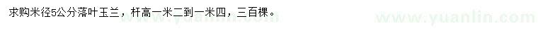 求購米徑5公分落葉玉蘭
